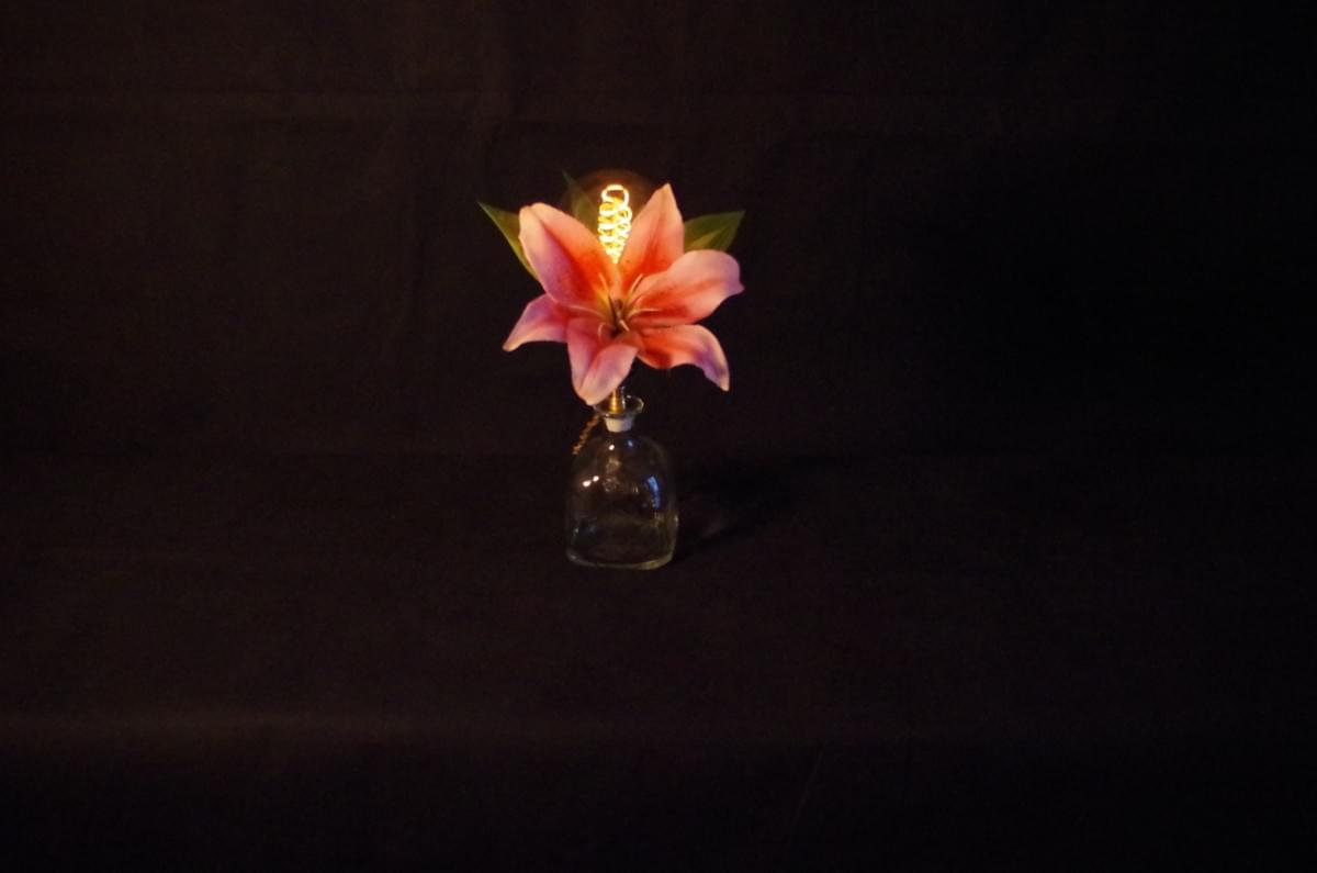 Lady Ada lamp angle